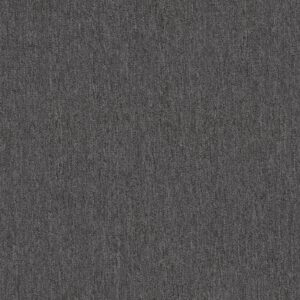 Philadelphia Commercial Carpet OUTSIDE AGENDA Cinder Block 00500_54638