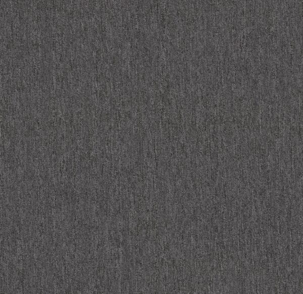 Philadelphia Commercial Carpet OUTSIDE AGENDA Cinder Block 00500_54638