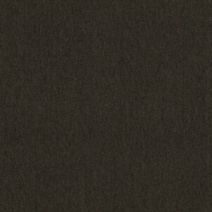 Philadelphia Commercial Carpet OUTSIDE AGENDA Woodsmoke 00501_54638