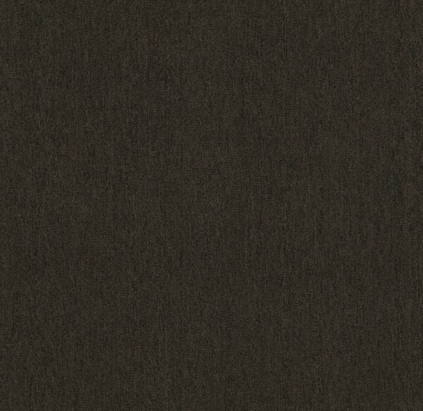 Philadelphia Commercial Carpet OUTSIDE AGENDA Woodsmoke 00501_54638