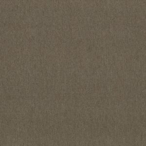 Philadelphia Commercial Carpet OUTSIDE AGENDA Burlap 00700_54638