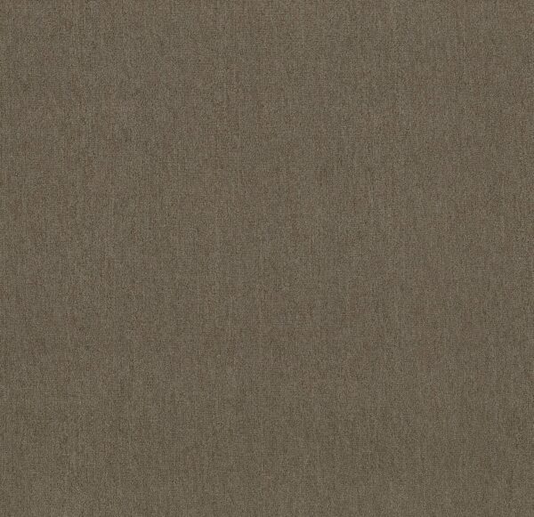 Philadelphia Commercial Carpet OUTSIDE AGENDA Burlap 00700_54638