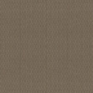 Philadelphia Commercial Carpet PATTERN PLAY Bayou Beige 00100_54640