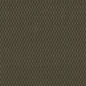 Philadelphia Commercial Carpet PATTERN PLAY Hedge Row 00300_54640