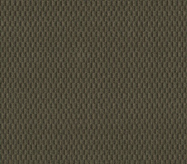 Philadelphia Commercial Carpet PATTERN PLAY Hedge Row 00300_54640