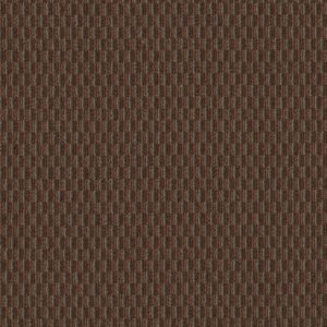 Philadelphia Commercial Carpet PATTERN PLAY Brick Walkway 00800_54640