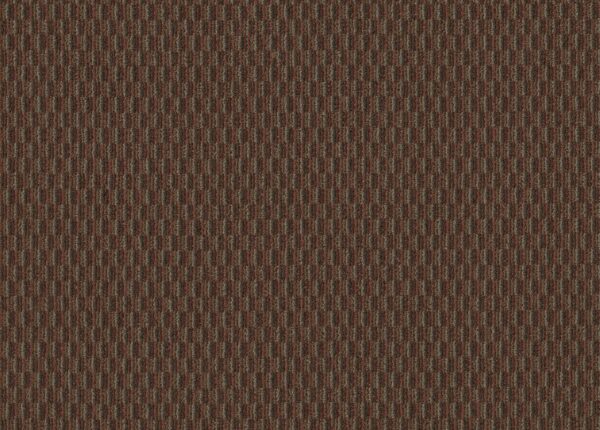 Philadelphia Commercial Carpet PATTERN PLAY Brick Walkway 00800_54640