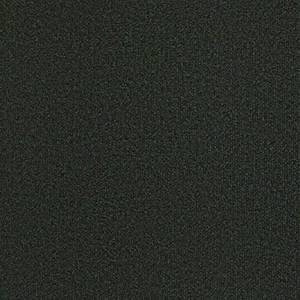 Philadelphia Commercial Carpet BACKDROP I 12 Forest Night 00300_54641