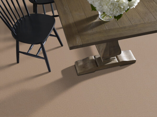 Philadelphia Commercial Carpet BACKDROP 2 12 Natural Finish 00100_54681 - Image 2