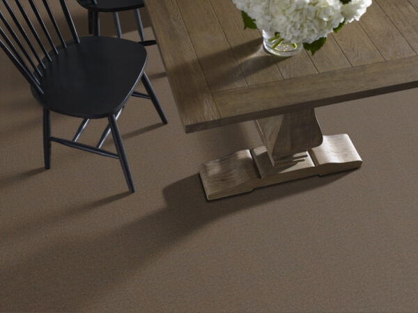 Philadelphia Commercial Carpet BACKDROP 2 12 Peat 00700_54681 - Image 2