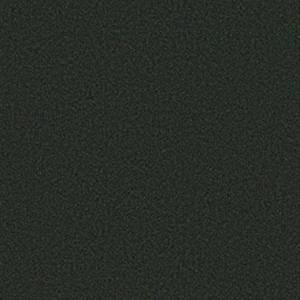 Philadelphia Commercial Carpet BACKDROP I 6 Forest Night 00300_54682