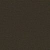 Philadelphia Commercial Carpet BACKDROP I 6 Bracken 00701_54682