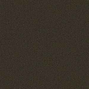 Philadelphia Commercial Carpet BACKDROP I 6 Bracken 00701_54682