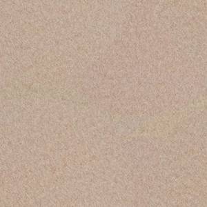 Philadelphia Commercial Carpet BACKDROP II 6 Natural Finish 00100_54683