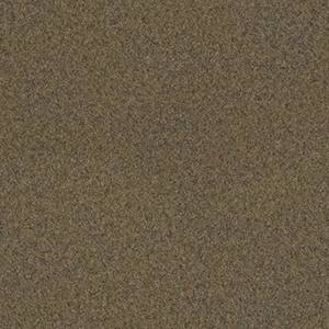 Philadelphia Commercial Carpet BACKDROP II 6 Peat 00700_54683