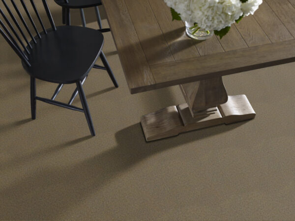 Philadelphia Commercial Carpet BACKDROP II 6 Peat 00700_54683 - Image 2
