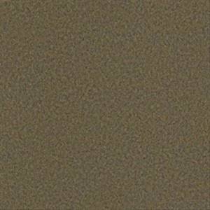 Philadelphia Commercial Carpet SOFTSCAPE II 12 Peat 00700_54685