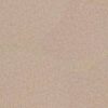 Philadelphia Commercial Carpet SOFTSCAPE II 6 Natural Finish 00100_54687