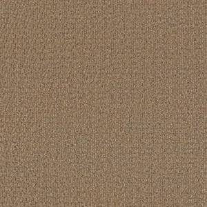 Philadelphia Commercial Carpet BEDECKED Fawn 00200_54689
