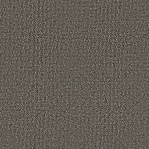 Philadelphia Commercial Carpet BEDECKED Driftwood 00700_54689