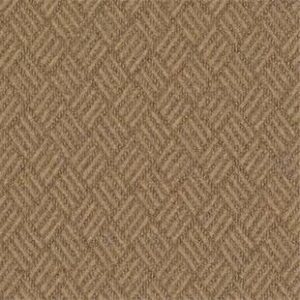 Philadelphia Commercial Carpet DREAMWEAVER Haystack 00200_54690