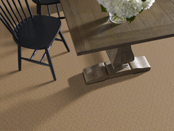 Philadelphia Commercial Carpet DREAMWEAVER Haystack 00200_54690 - Image 2