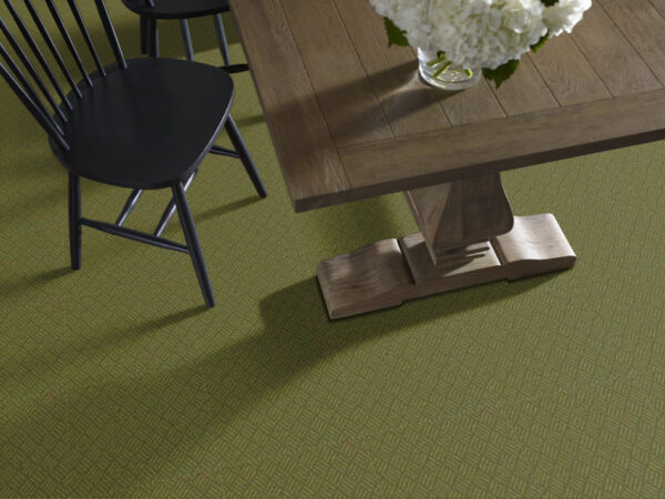 Philadelphia Commercial Carpet DREAMWEAVER Olive Amber 00300_54690 - Image 2