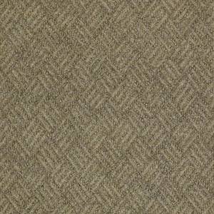Philadelphia Commercial Carpet DREAMWEAVER Dragonfly 00701_54690