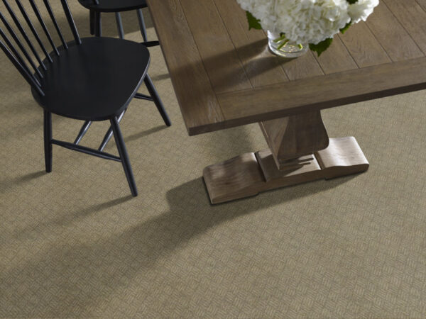 Philadelphia Commercial Carpet DREAMWEAVER Dragonfly 00701_54690 - Image 2