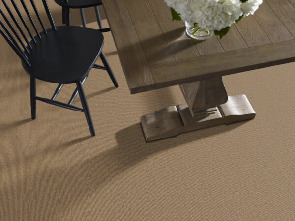 Philadelphia Commercial Carpet SUMMER STOCK Haystack 00200_54691 - Image 2