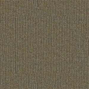 Philadelphia Commercial Carpet SUMMER STOCK Dragonfly 00701_54691