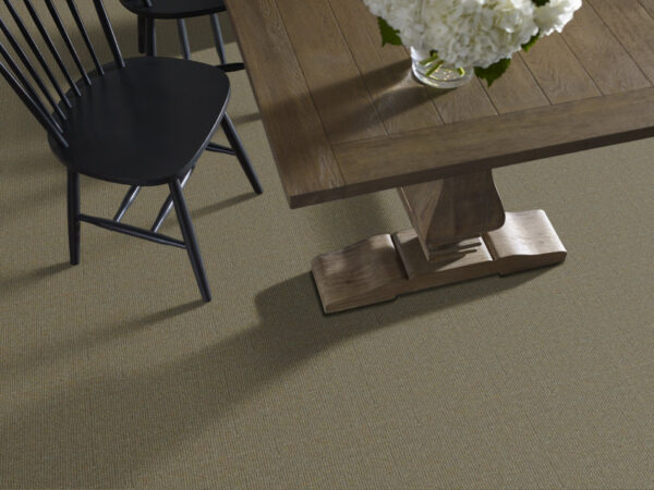 Philadelphia Commercial Carpet SUMMER STOCK Dragonfly 00701_54691 - Image 2