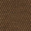 Philadelphia Commercial Carpet COMMONS II Cinnabark 00601_54693
