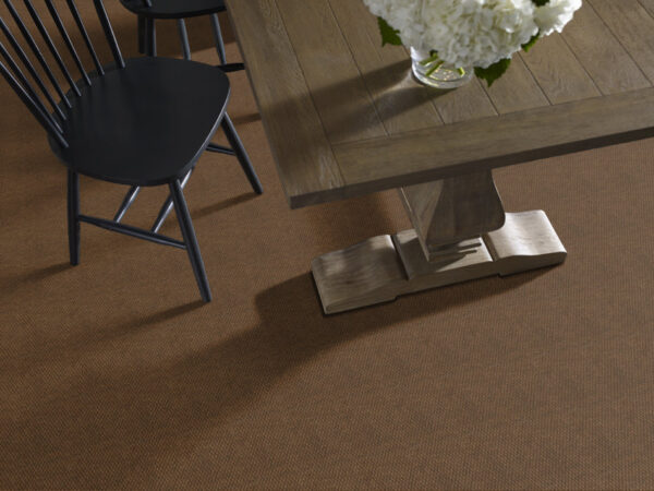 Philadelphia Commercial Carpet COMMONS II Cinnabark 00601_54693 - Image 2
