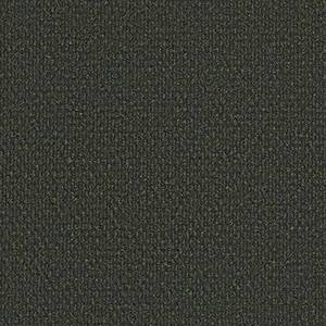 Philadelphia Commercial Carpet SUCCESSIONII BL Crushed Olive 00300_54694
