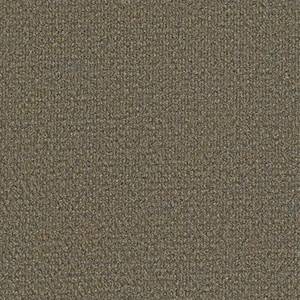 Philadelphia Commercial Carpet SUCCESSIONII BL Sierra Sand 00700_54694