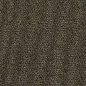 Philadelphia Commercial Carpet SUCCESSIONII BL French Roast 00701_54694
