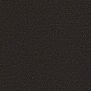 Philadelphia Commercial Carpet SUCCESSIONII BL Dark Earth 00703_54694