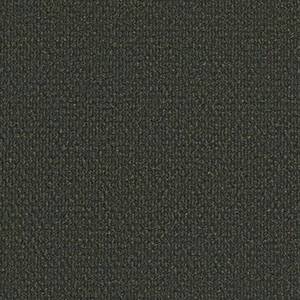 Philadelphia Commercial Carpet SUCCESSIONII TL Crushed Olive 00300_54695