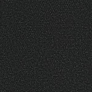 Philadelphia Commercial Carpet SUCCESSIONII TL After Dark 00500_54695