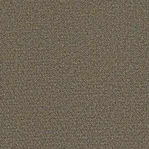 Philadelphia Commercial Carpet SUCCESSIONII TL Sierra Sand 00700_54695