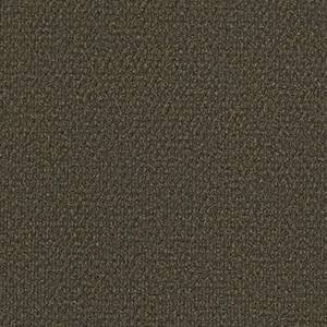Philadelphia Commercial Carpet SUCCESSIONII TL French Roast 00701_54695
