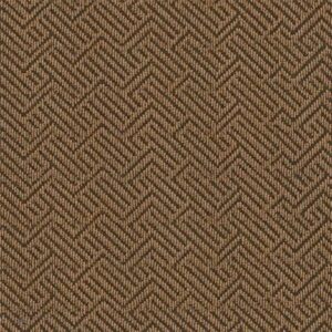 Philadelphia Commercial Carpet TREAD ON ME Mesa Brown 00701_54749