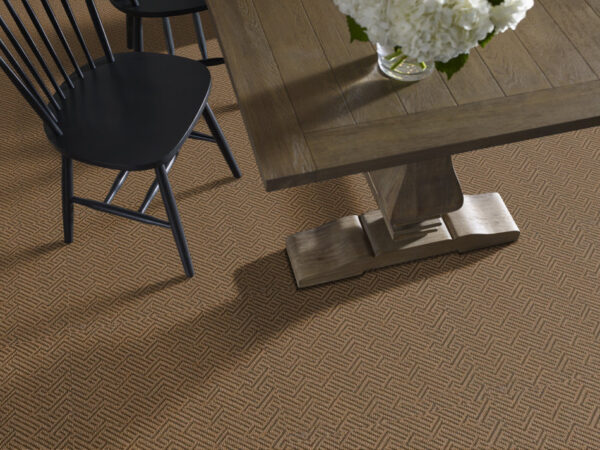 Philadelphia Commercial Carpet TREAD ON ME Mesa Brown 00701_54749 - Image 2