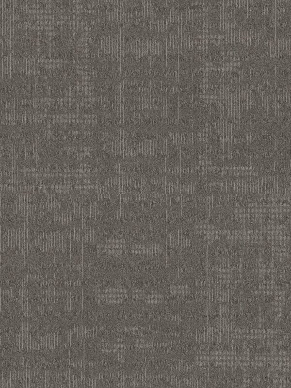 Philadelphia Commercial Carpet Curious Wonder Adoration 40505_54940