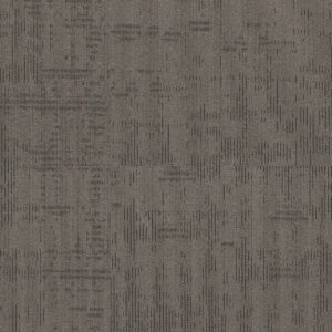 Philadelphia Commercial Carpet Curious Wonder Inquisitive 40510_54940