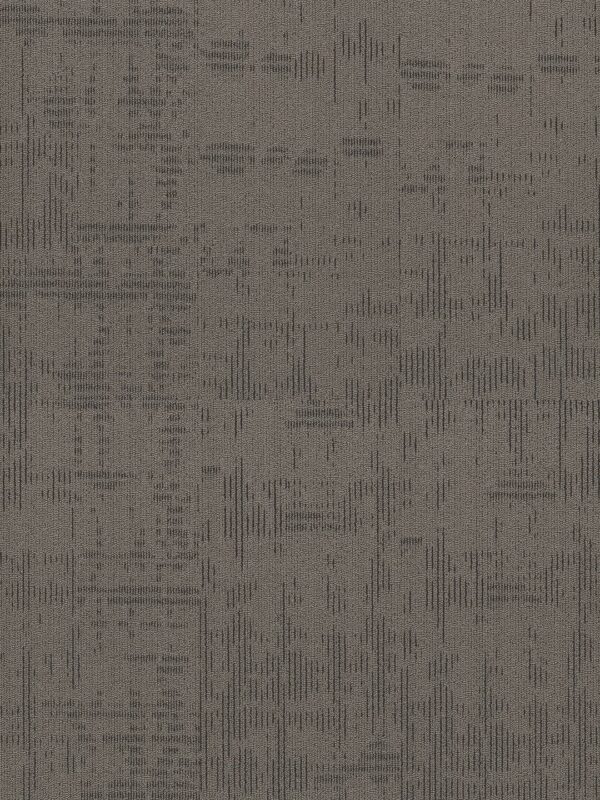 Philadelphia Commercial Carpet Curious Wonder Inquisitive 40510_54940