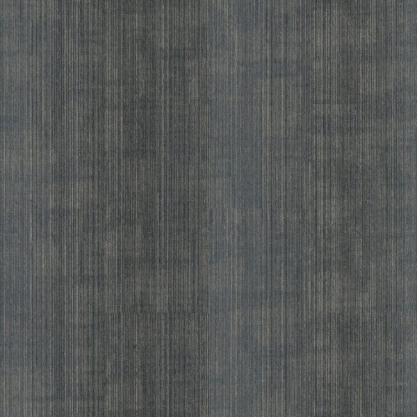 Philadelphia Commercial Carpet Visibility Vanish 00404_54953