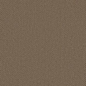 Philadelphia Commercial Carpet Prospect Anticipate 83104_54983