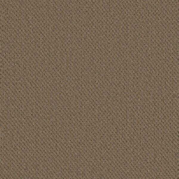 Philadelphia Commercial Carpet Prospect Anticipate 83104_54983